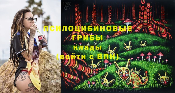 меф Арсеньев